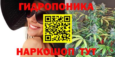 a pvp Аргун