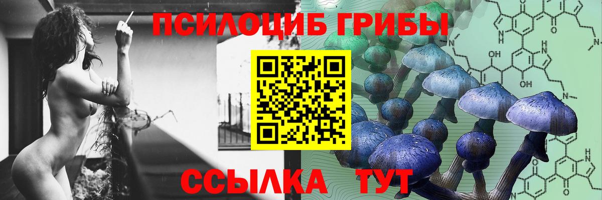 Галлюциногенные грибы MAGIC MUSHROOMS  Псилоцибиновые грибы Magic Shrooms  Вход с VPN  Россия 