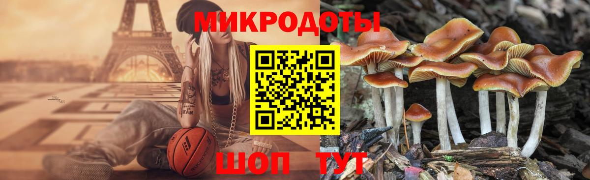 Галлюциногенные грибы MAGIC MUSHROOMS Россия